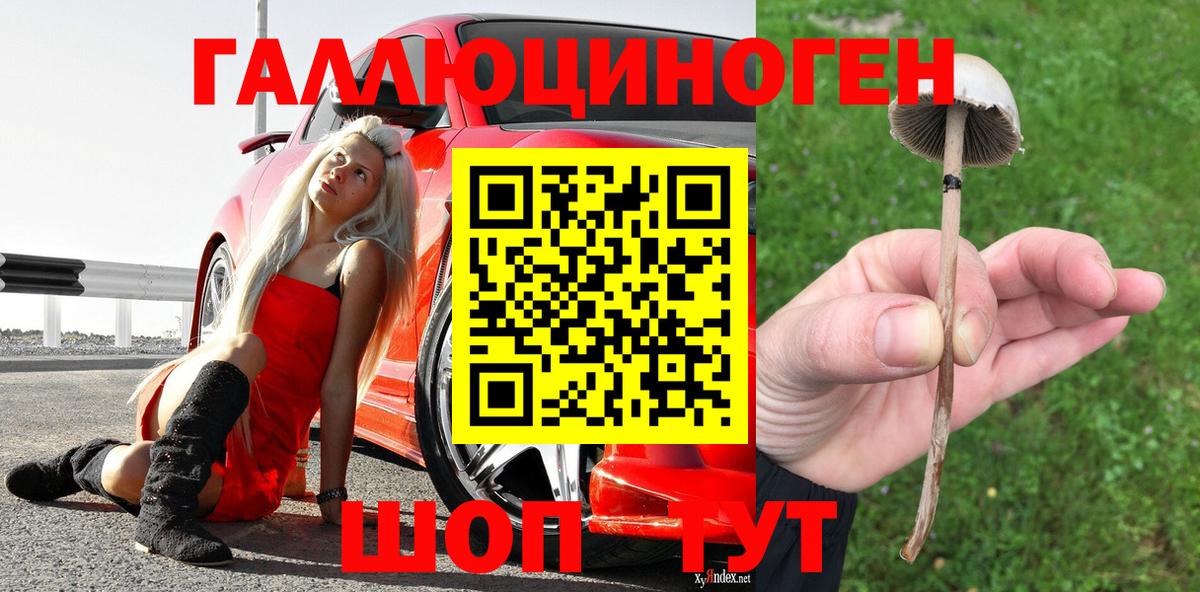 Октябрьский  Псилоцибиновые грибы Psilocybe  Псилоцибиновые грибы ЛСД  Вход с VPN 